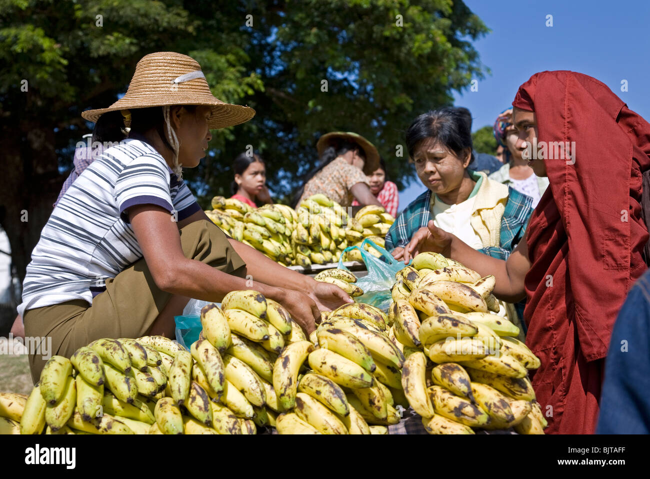 Monaco buddista acquistare banane. Pakokku mercato. Myanmar Foto Stock