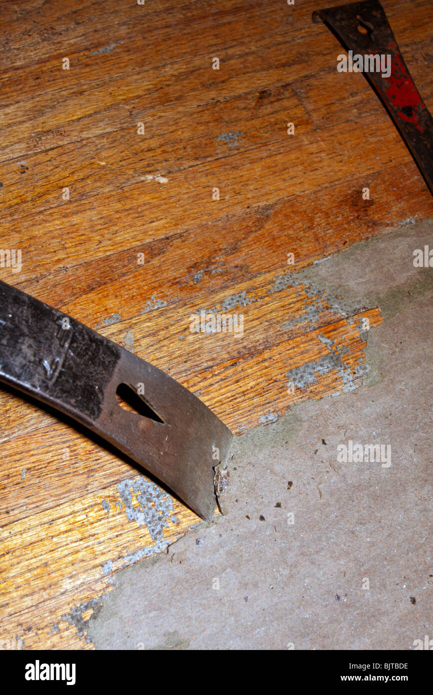 Palanchino nero/barra essendo utilizzato per raschiare il pavimento feltro di supporto per la pulizia di un pavimento in legno di superficie. Foto Stock