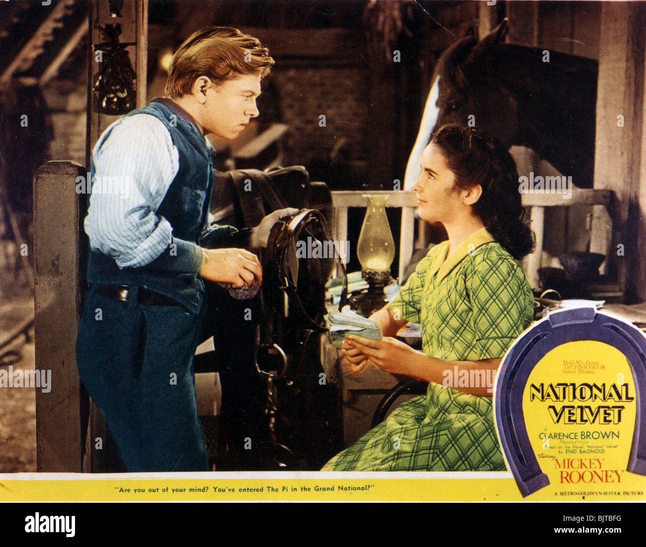 Velluto nazionale - 1945 MGM film con Mickey Rooney e Elizabeth Taylor Foto Stock