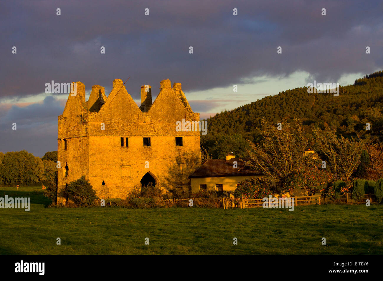 Casa fortificata farm Clonmel Tipperary Irlanda Foto Stock