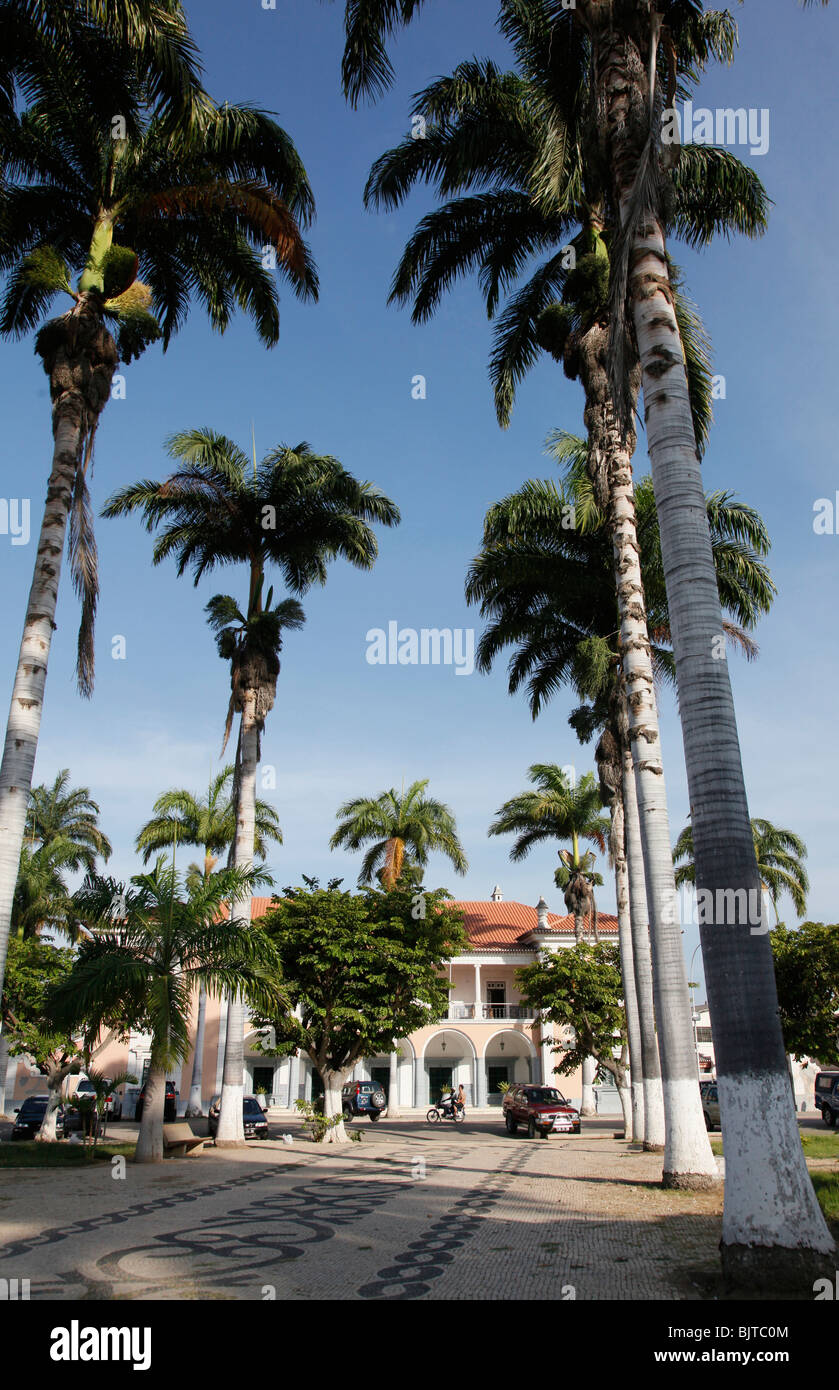 Uno dei molti fiancheggiata da palme piazze attorno Benguela. Angola. L'Africa. © Zute Lightfoot Foto Stock