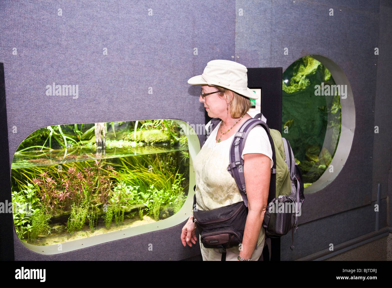 L'acquario al territorio Wildlife Park dispone di diverse mostre di northern Australian vita marina Foto Stock