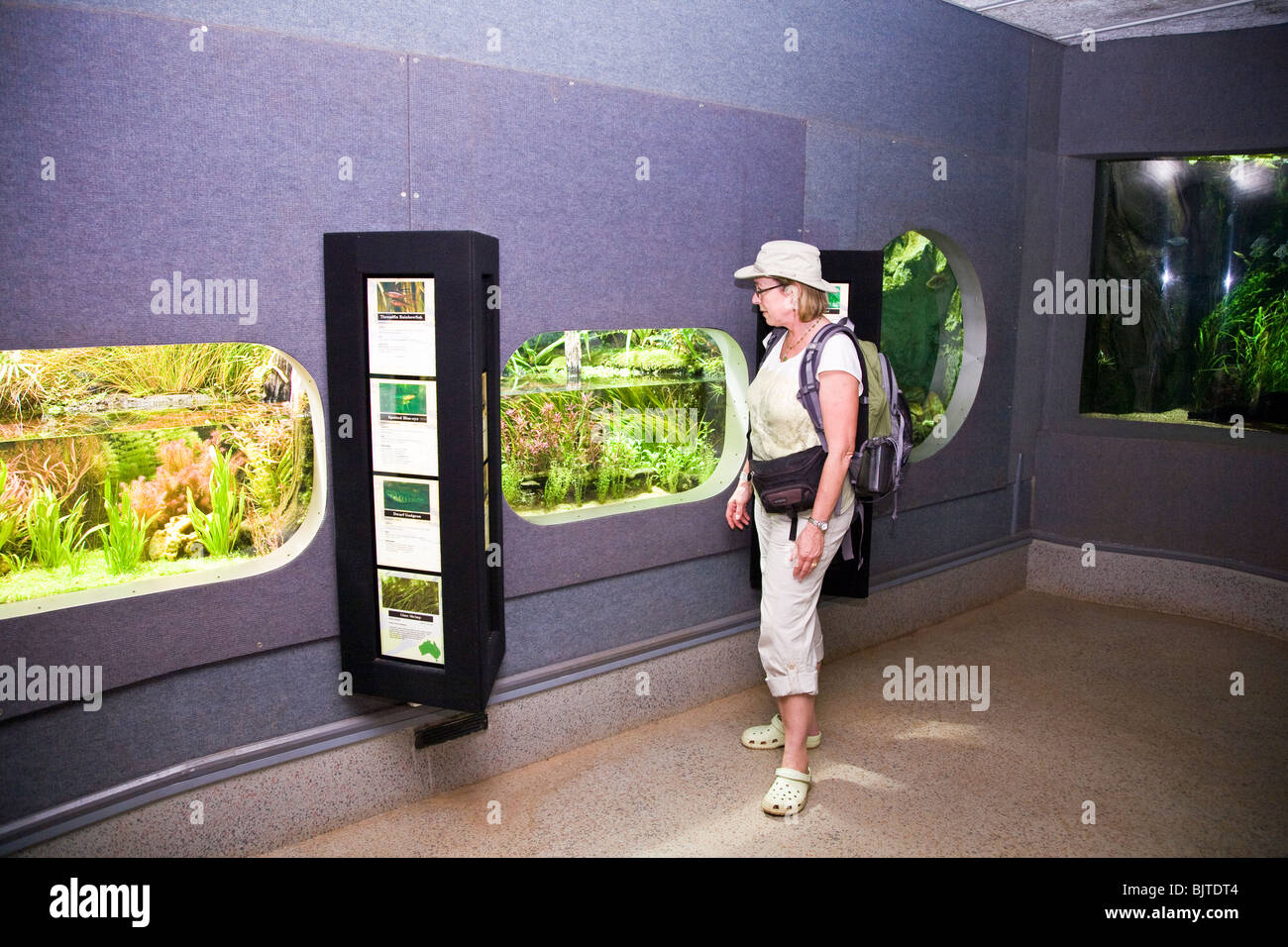 L'acquario al territorio Wildlife Park dispone di diverse mostre di northern Australian vita marina Foto Stock