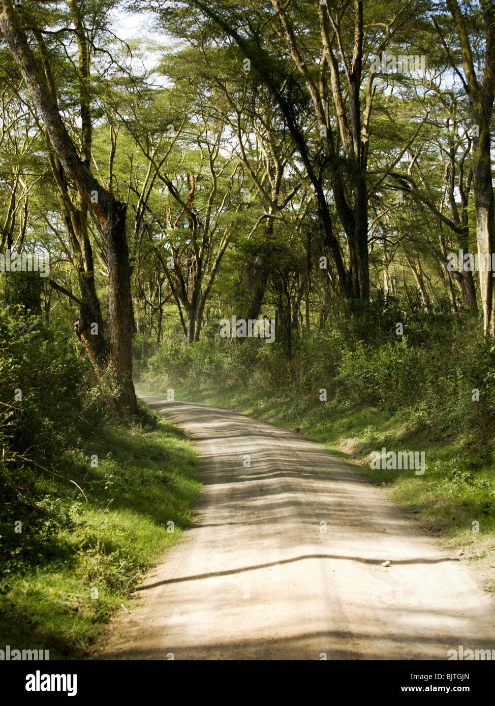 Strada rurale in Kenya, Africa Foto Stock