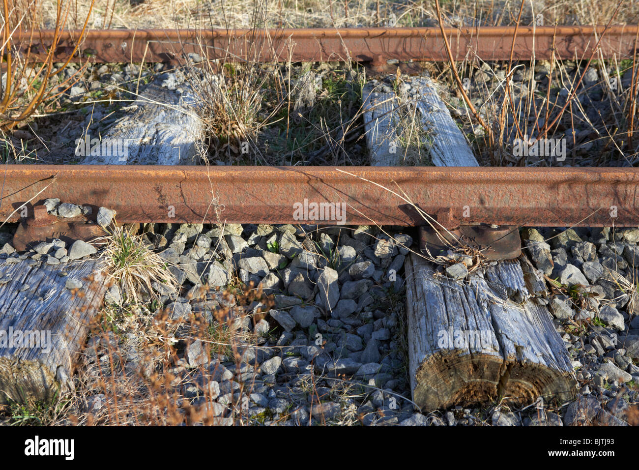 Vecchio abbandonato grande sud e ovest linea ferroviaria collegata al usurati traversine di legno nella contea di Sligo, Repubblica di Irlanda Foto Stock