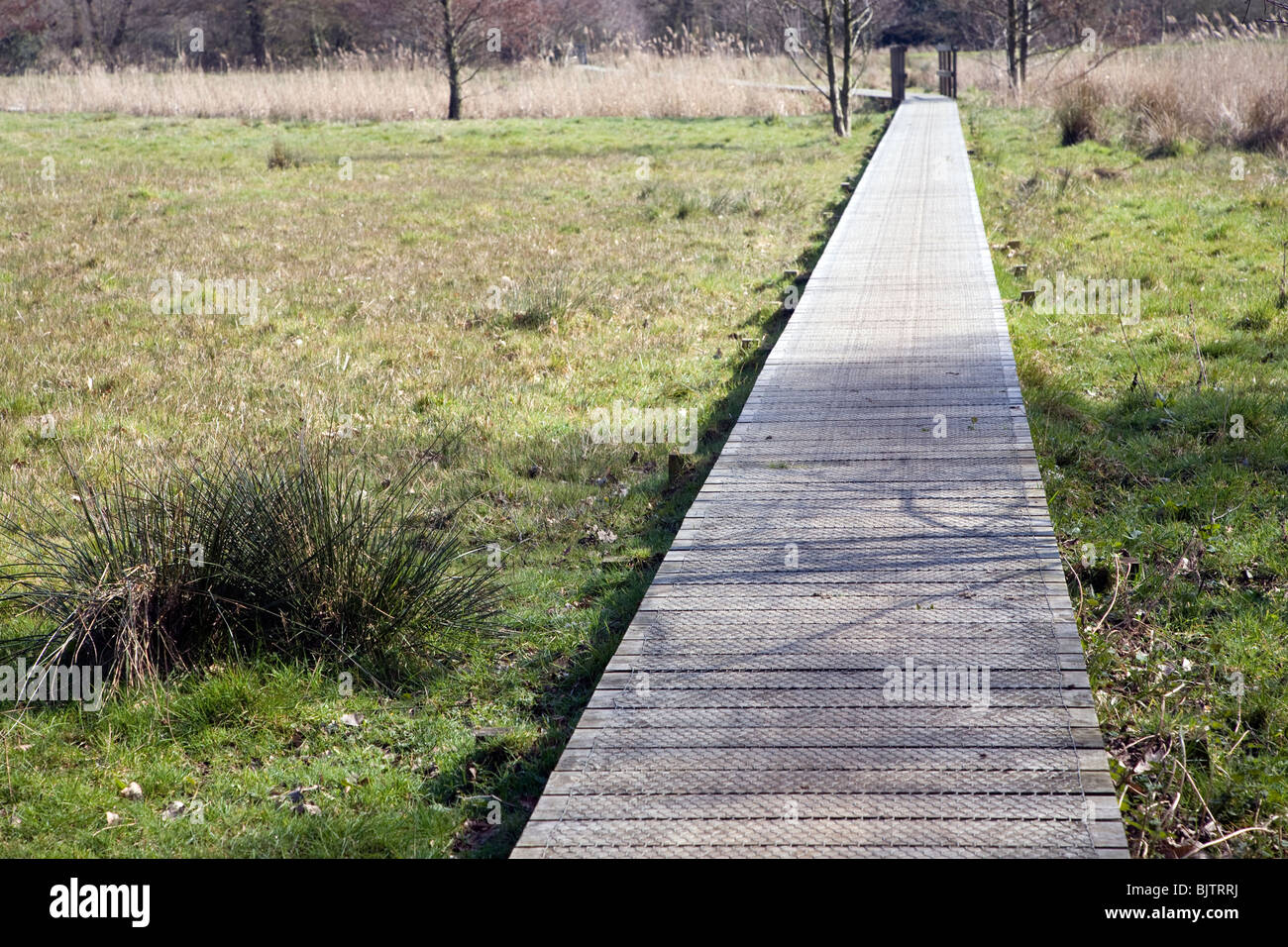Una passerella di legno in tutta bagnata campo palustri formando un'opera d'arte 'high water mark 2048' da Jonathan tenere, Snape, Suffolk Foto Stock