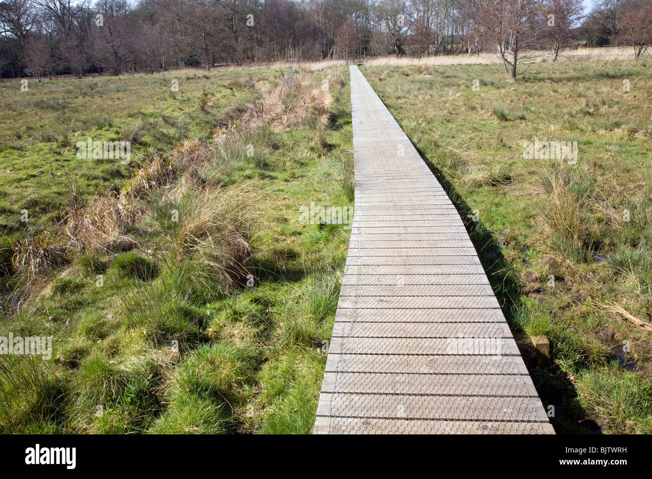 Una passerella di legno in tutta bagnata campo palustri formando un'opera d'arte 'high water mark 2048' da Jonathan tenere, Snape, Suffolk Foto Stock