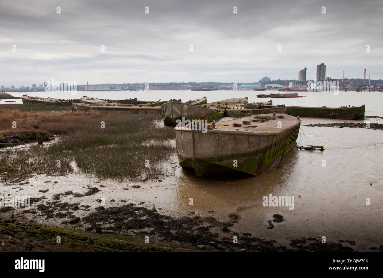 Il D-Day chiatte abbandonati sul Fiume Tamigi da Rainham paludi, Rainham, London REGNO UNITO Foto Stock