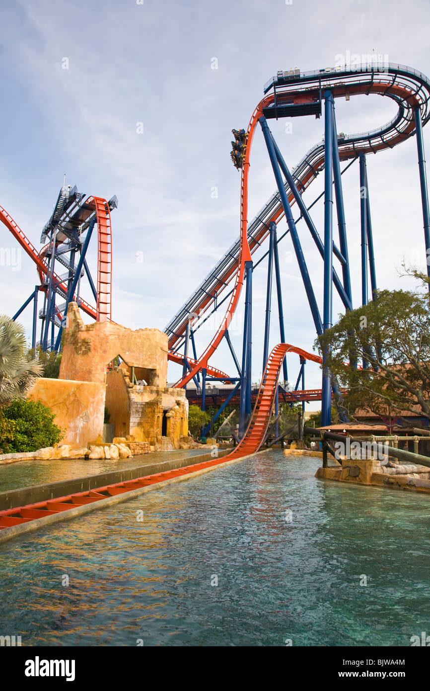 Sheikra coaster al Busch Gardens di Tampa Florida Foto Stock