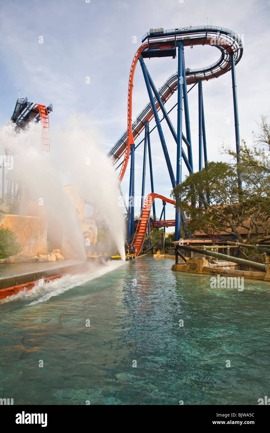 Sheikra coaster al Busch Gardens di Tampa Florida Foto Stock