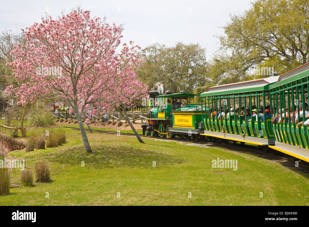 Serengeti Treno Express una vecchia locomotiva a vapore treno a Busch Gardens di Tampa Florida Foto Stock