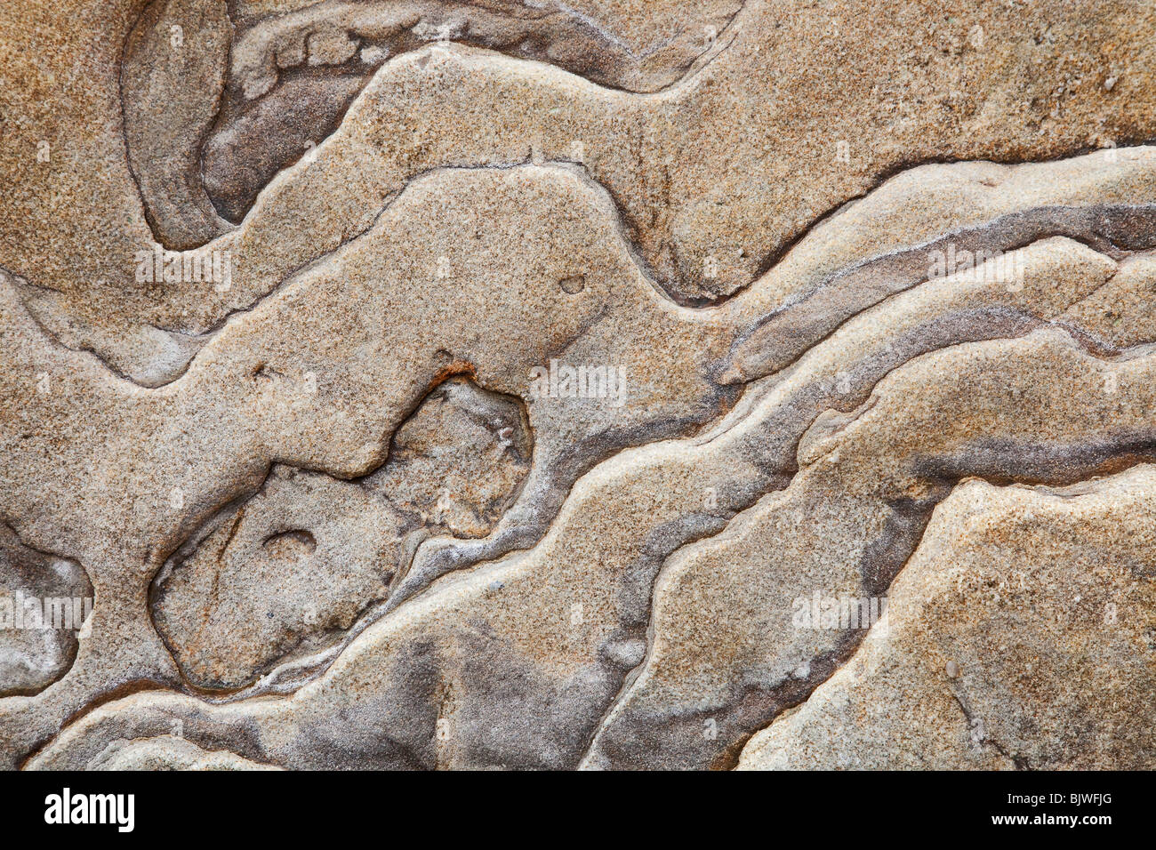 Marrone roccia sedimentaria sfondo Foto Stock