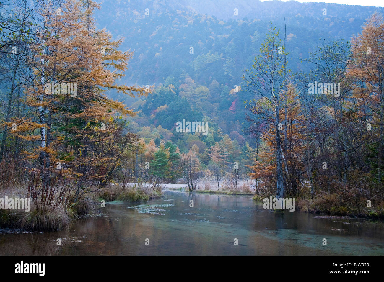 Tashiro stagno in Prefettura di Nagano, Giappone Foto Stock