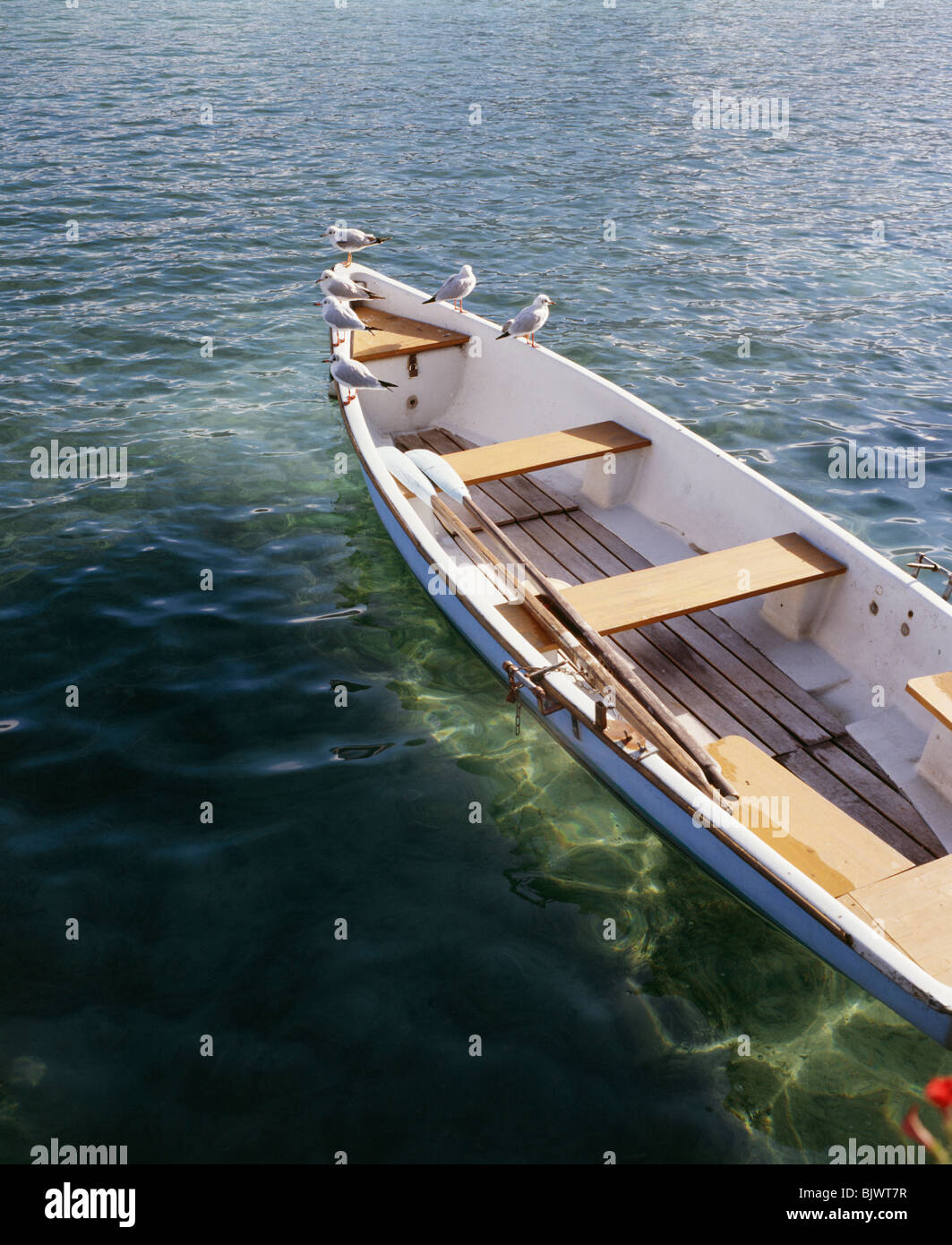 Gli uccelli appollaiato sulla barca Foto Stock