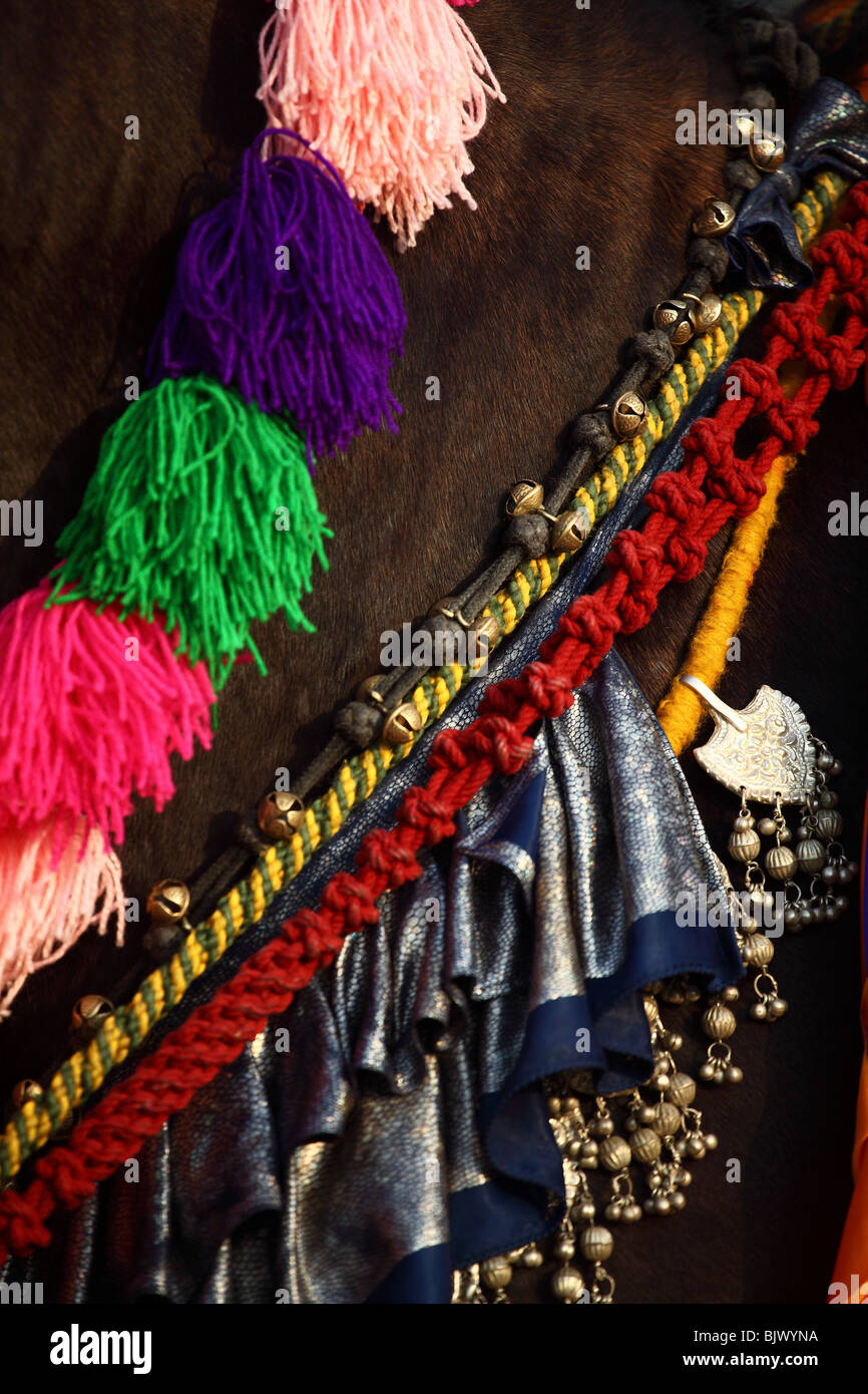 Colorate decorazioni ornati cavallo hola Mohalla celebrazione Anandpur Sahib Punjab India Foto Stock