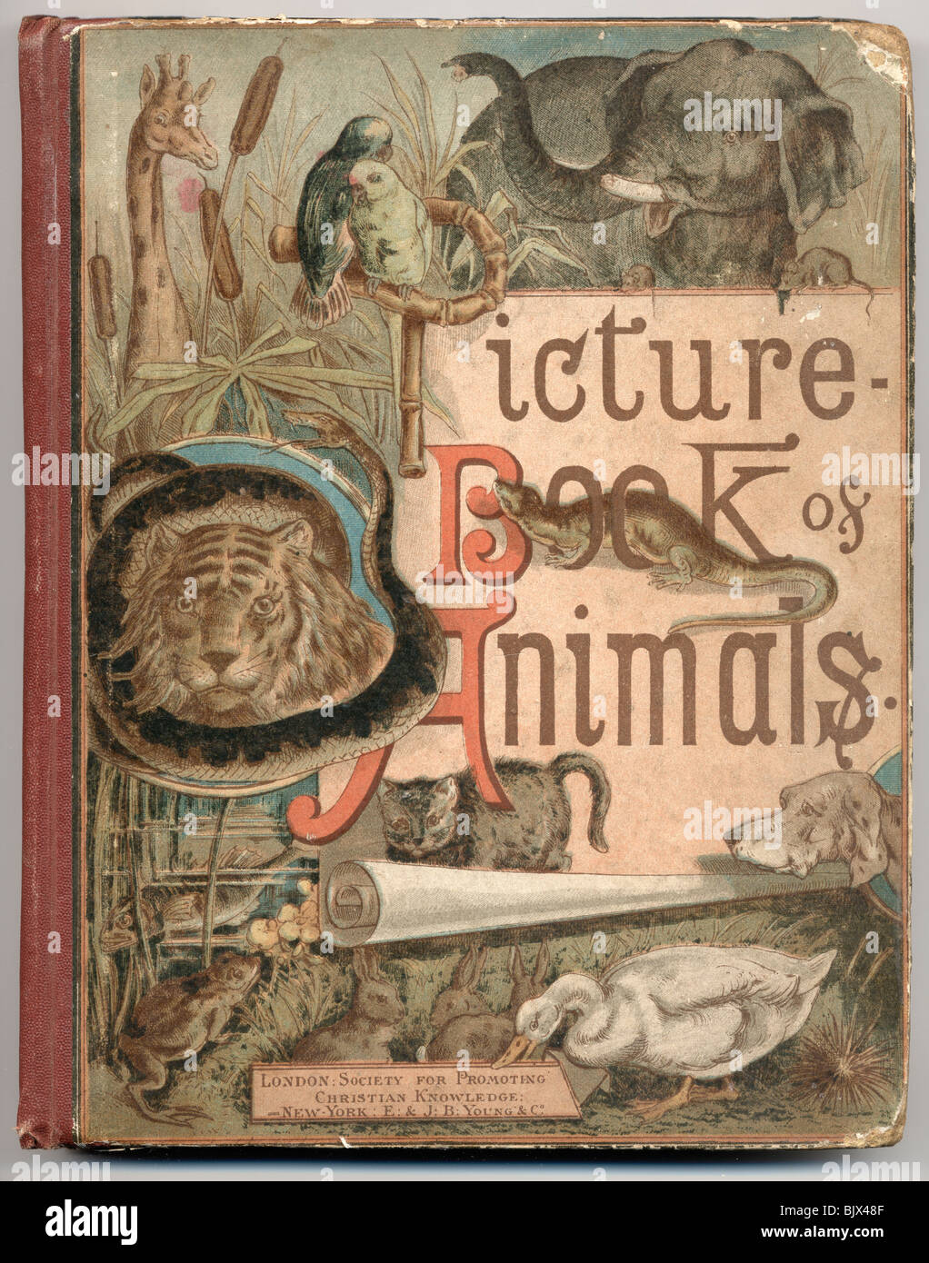 Esempio del XIX secolo libro per bambini. Foto Stock