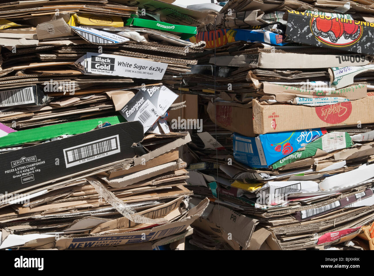 Pile di scatole di cartone compresso per il riciclaggio Foto Stock