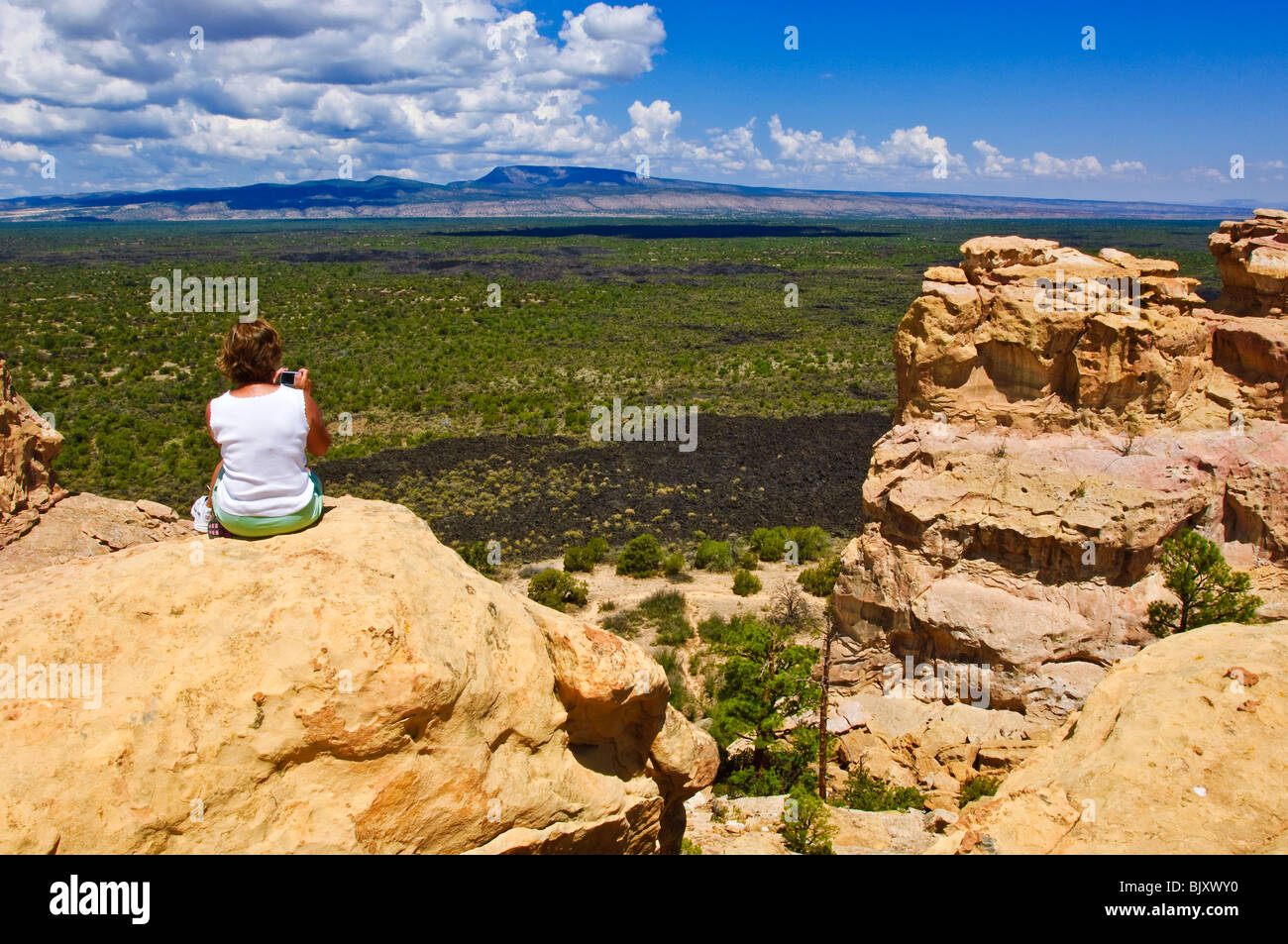 Scarpata e letti di lava in El Malpais monumento nazionale, Nuovo Messico. Foto Stock