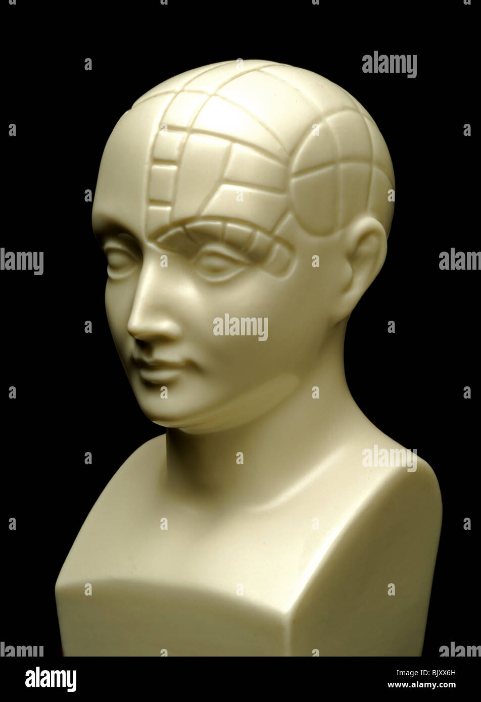 Un busto di una testa phrenology Foto Stock
