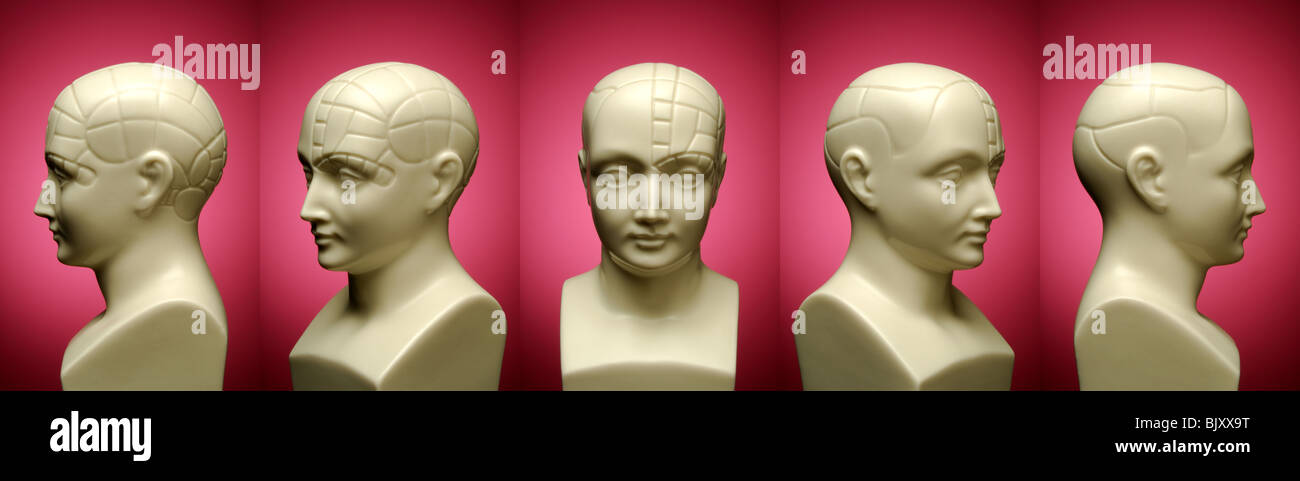 Un busto di phrenology testa con cinque diverse posizioni Foto Stock