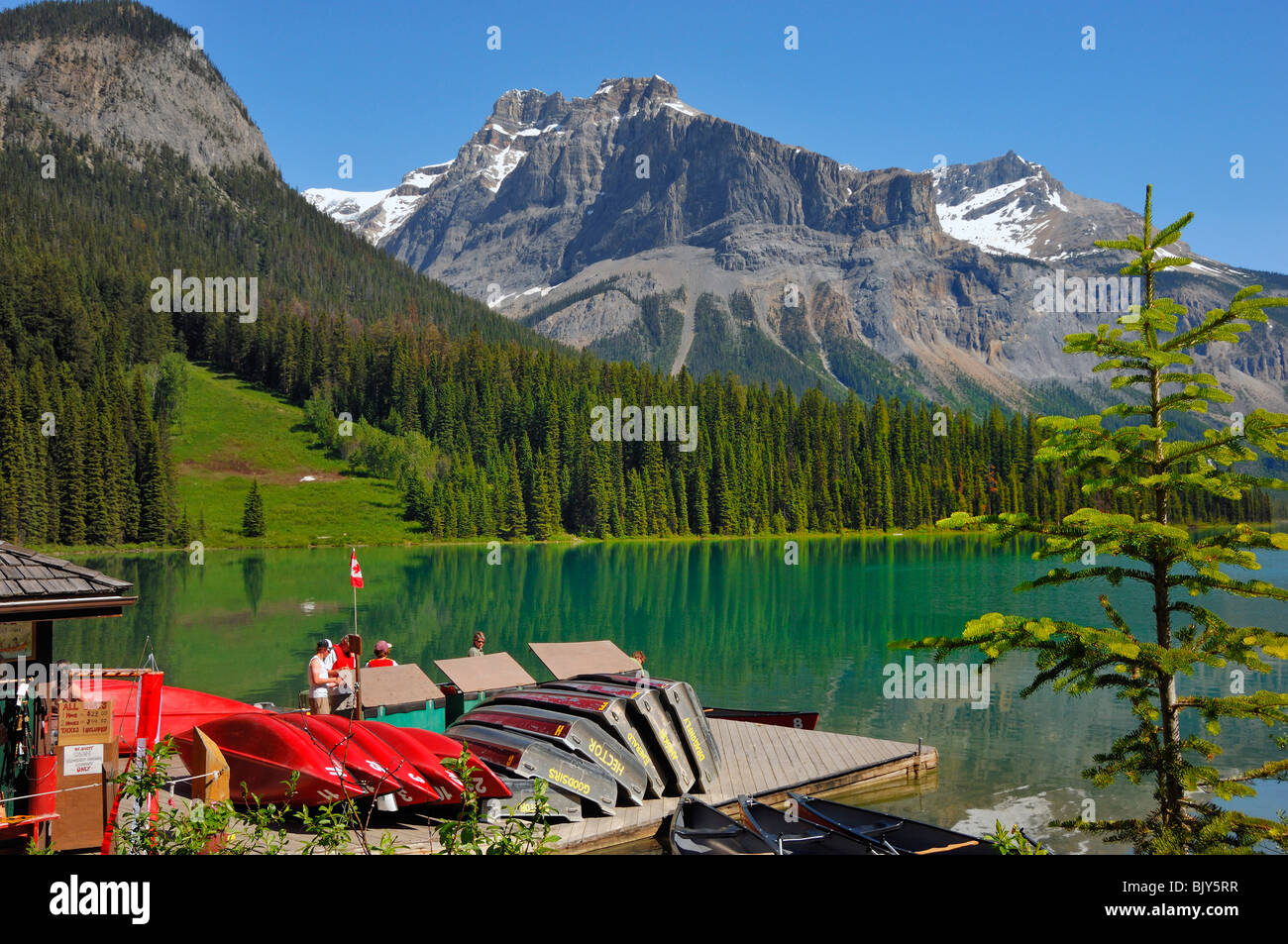 Il Lago di Smeraldo è nel Parco Nazionale di Yoho nella provincia di Alberta in Canada Foto Stock