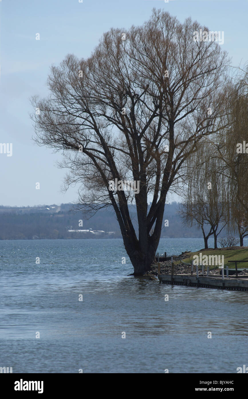 Alloggiamento e alberi acqua di confine accesso al lago Canandaigua, un dito lago nello stato di New York. Inizio della primavera gemme sugli alberi. Foto Stock