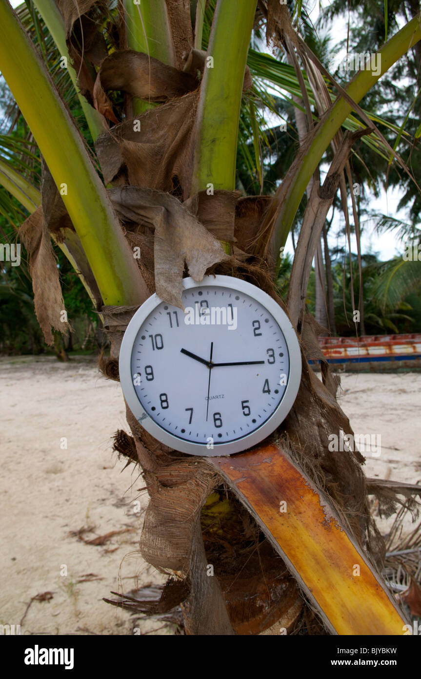 Orologio in un albero di palma su una spiaggia di Koh Phangan Thailandia Foto Stock