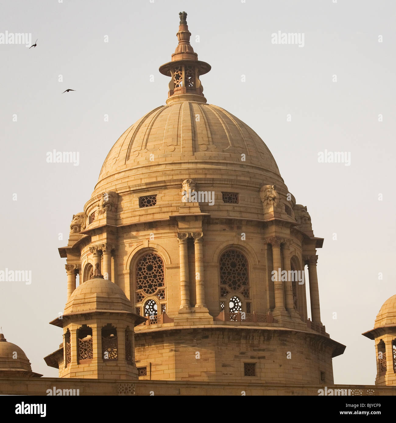 Gli uccelli di volare intorno alla cupola del blocco del nord Segretariato Building a New Delhi, India Foto Stock