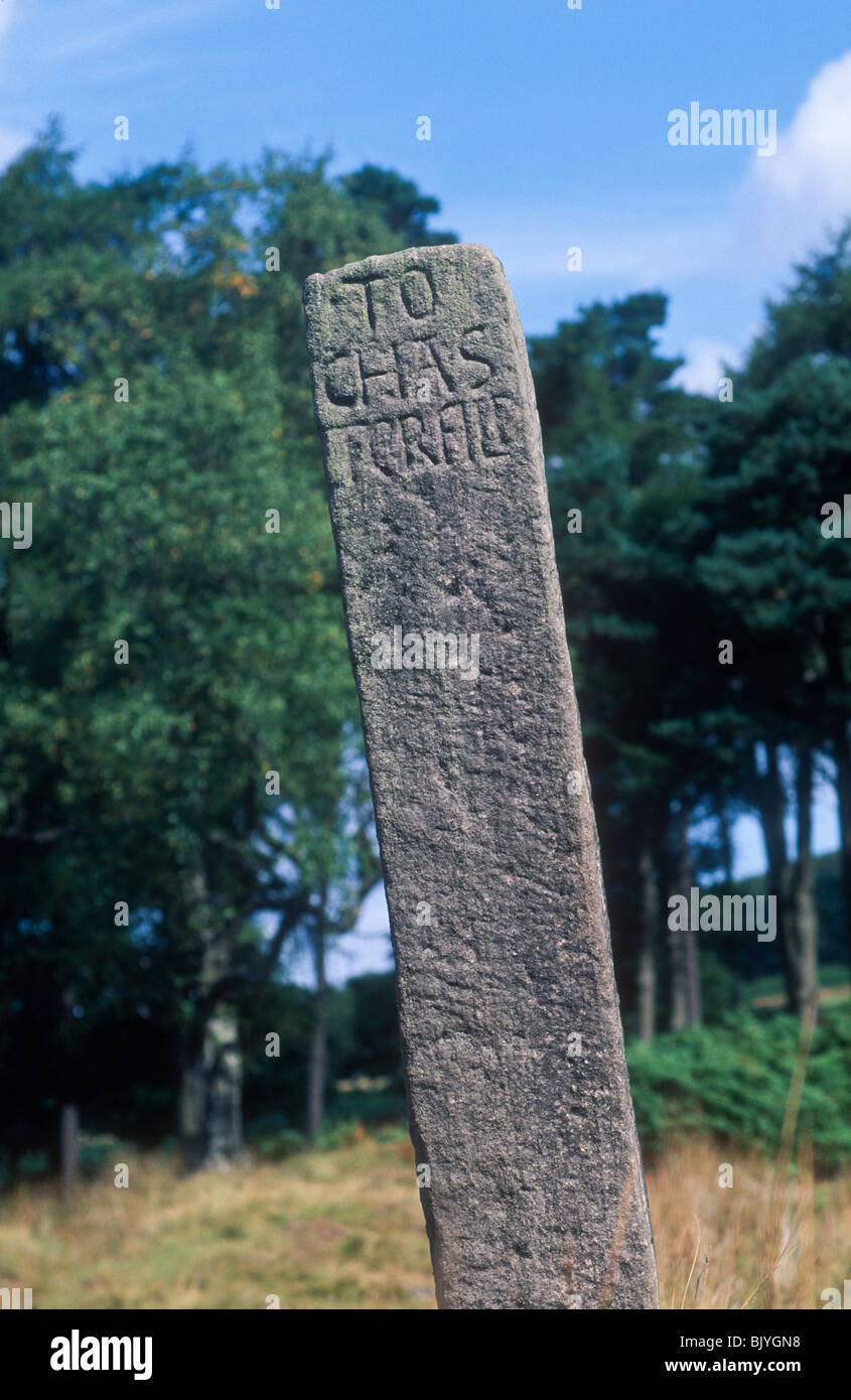 Fase cardine vecchio post, Longshaw, Derbyshire Foto Stock