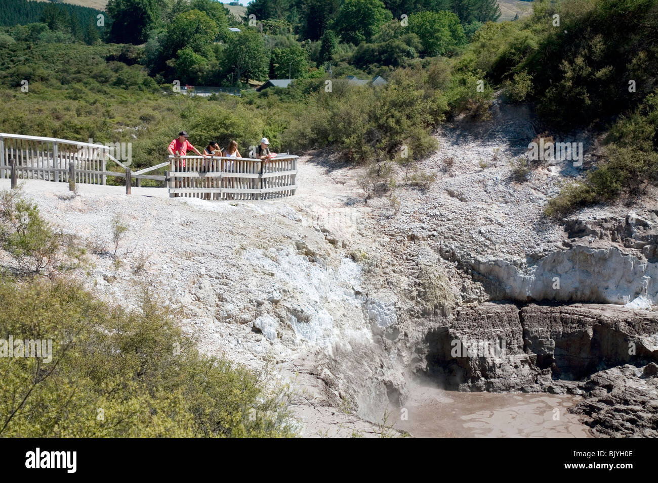 La cottura a vapore piscine di fango a Wai-O-Tapu Thermal Wonderland situato tra Taupo e Avventure a Rotorua Nuova Zelanda Foto Stock