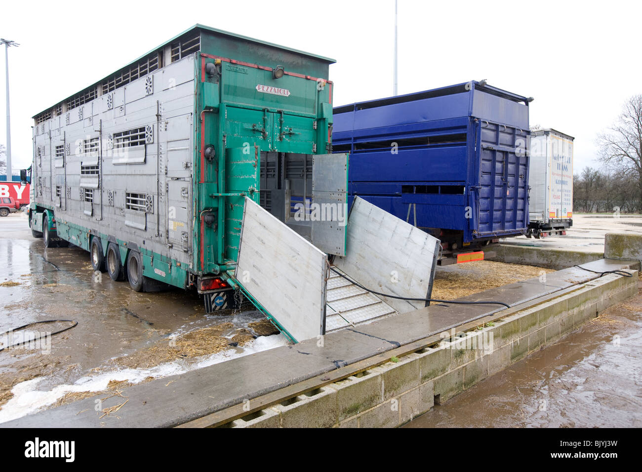 Un camion di bestiame essendo lavato fuori ad un mercato di bestiame Foto Stock