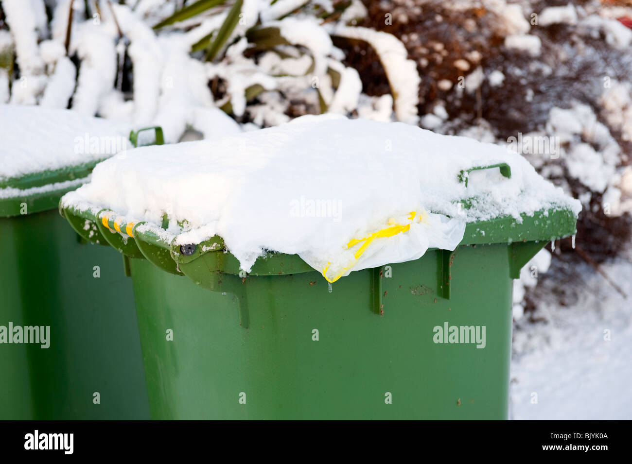 Verde bidone con ruote coperte di neve e ghiaccio in inverno Foto Stock