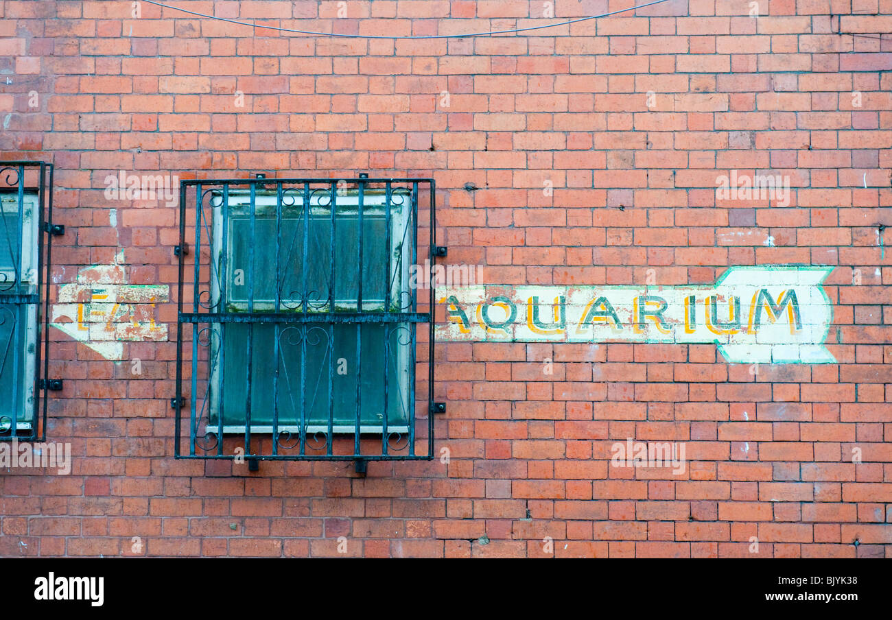 Acquario vecchio segno dipinto sul muro di mattoni Foto Stock