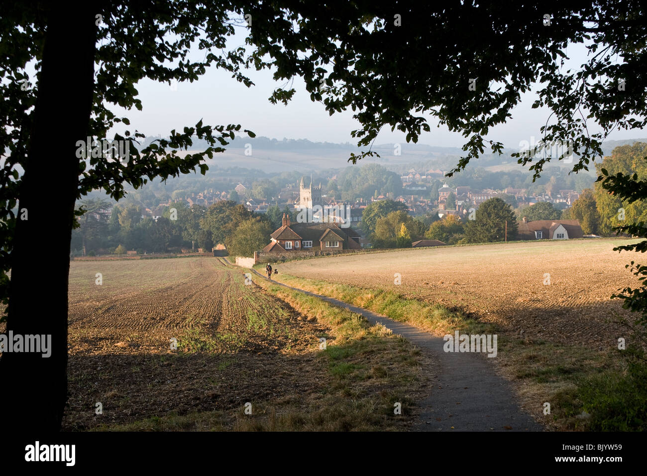 Old Amersham, visto dal legno canonica Foto Stock