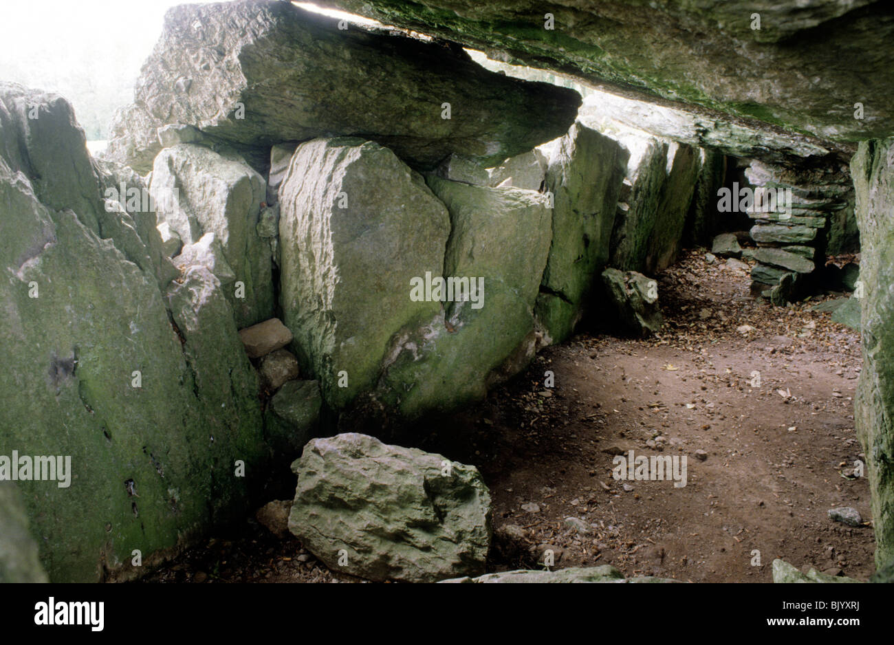 Glanworth Labbacallee tomba megalitica, nella contea di Cork in Irlanda Eire cuneo-tomba tomba a cuneo Hag's Bed preistorici camera di sepoltura grave Foto Stock