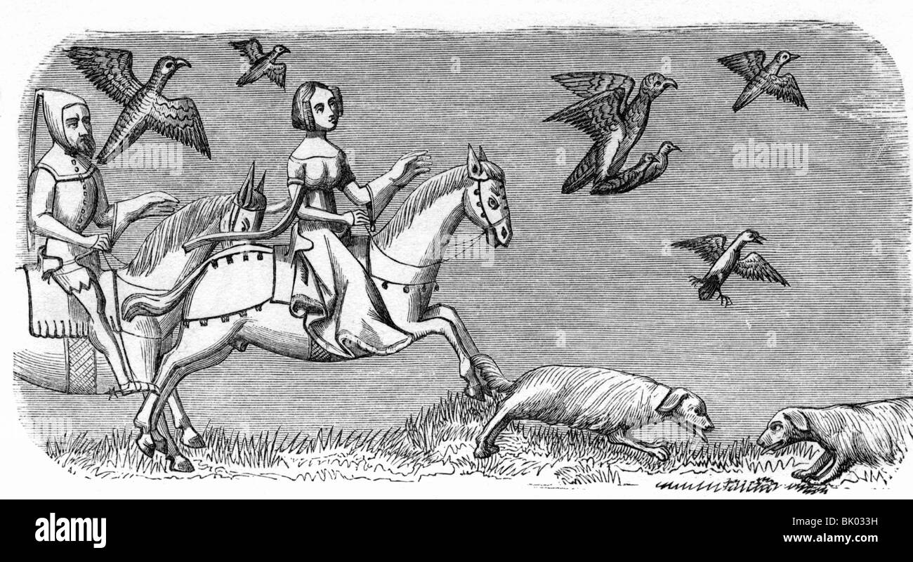 Caccia, falconeria, caccia all'anatra, dopo miniatura da 'Livre du roy modus' del 14th secolo, incisione in legno, 19th secolo, Foto Stock