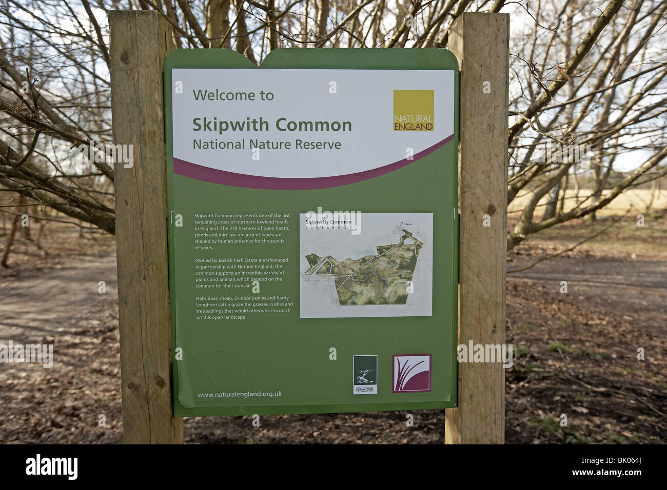 Comune Skipworth riserva naturale nazionale Yorkshire Regno Unito Foto Stock