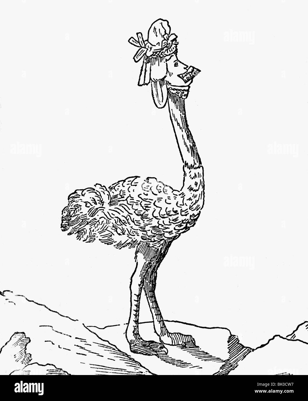 Maria Antonietta, 2.11.1755 - 16.10.1793, Regina Consort di Francia 10.5.1774 - 21.9.1792, caricatura, 'il pollo austriaco', 'posso facilmente stomaco oro e argento, ma la costituzione, non posso scendere', disegno, 1789, , Foto Stock