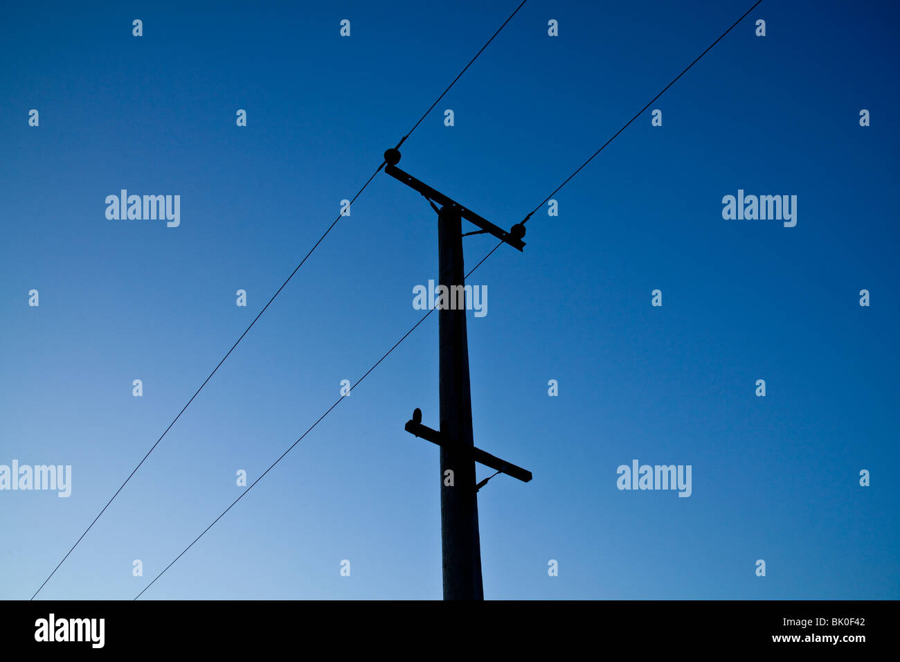 Palo elettrico e cavi, Hampshire, Inghilterra, Foto Stock