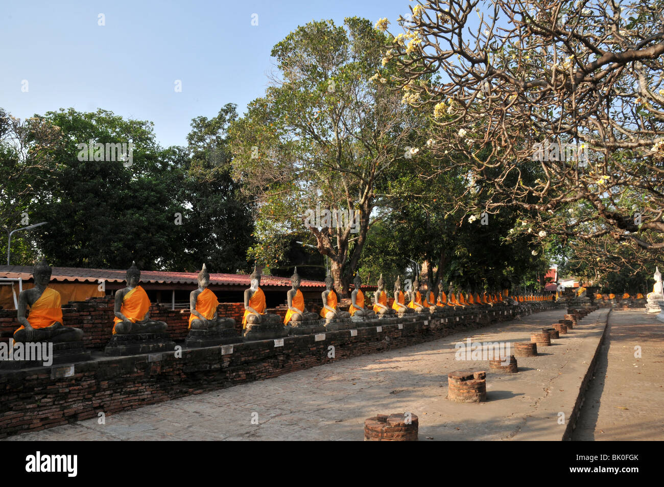 Thailande, Ayutthaya, Boudha drapé, Le Phra Mongkhon Bophi; Foto Stock