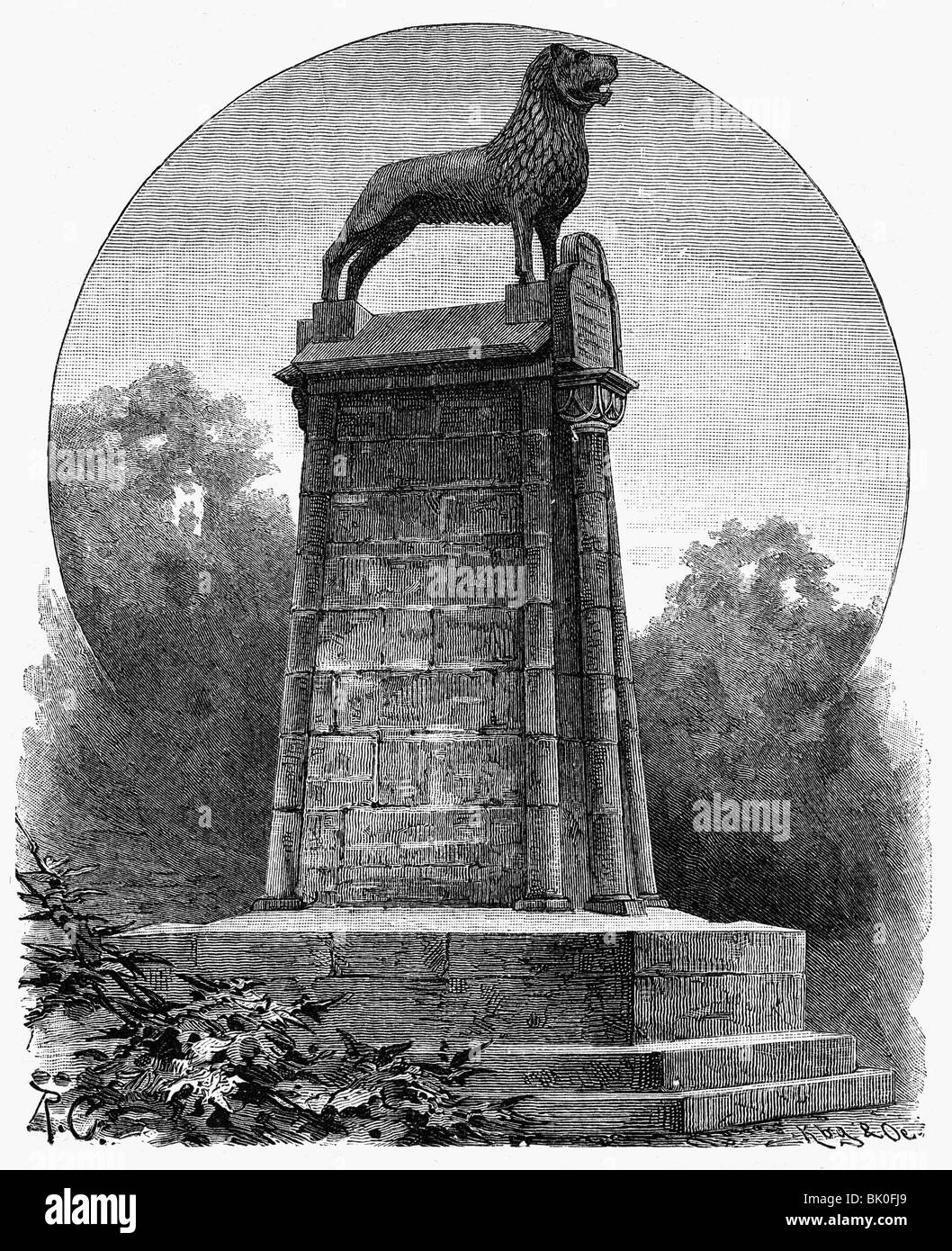 Geografia / viaggio, Germania, Brunswick, memoriali, Brunswick Lion, vista, incisione del legno, 19th secolo, , Foto Stock