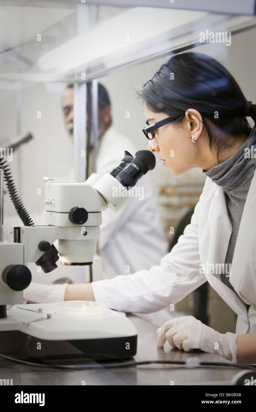 Lo scienziato indiano tramite microscopio in laboratorio Foto Stock