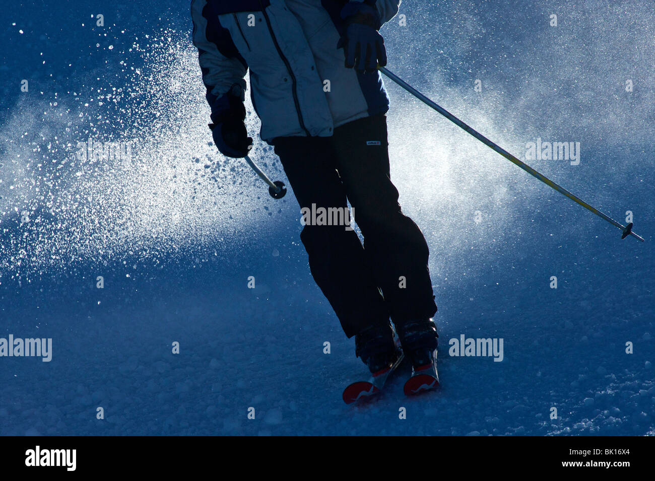 Sierra Nevada, sciatore in azione Foto Stock