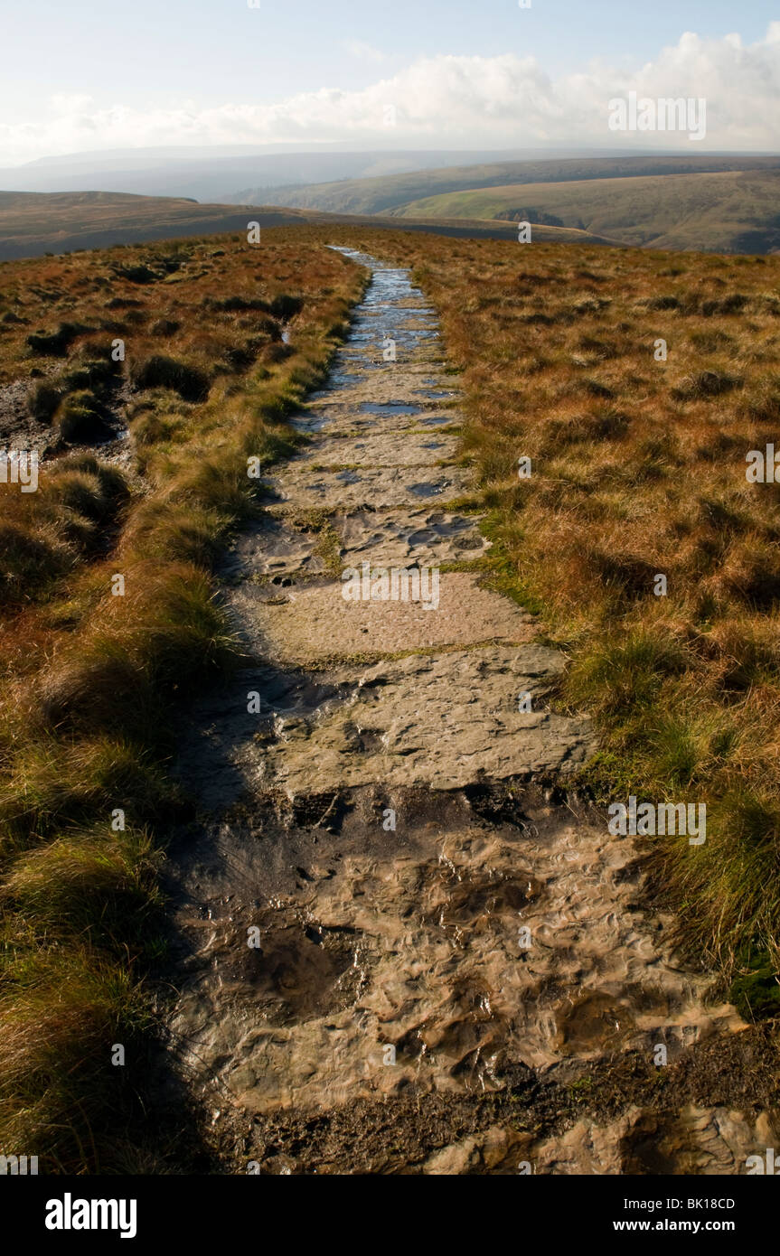 Via fatta da lastre di arenaria sul taglio percorso Gate, Margery Hill, Superiore Derwent Valley, Peak District, Derbyshire, England, Regno Unito Foto Stock