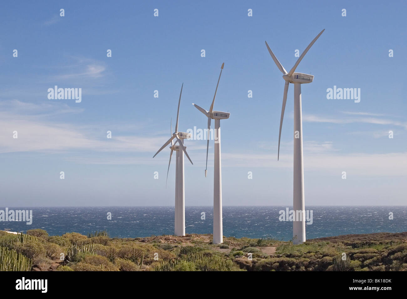 Wind power station su una costa con cielo blu Foto Stock
