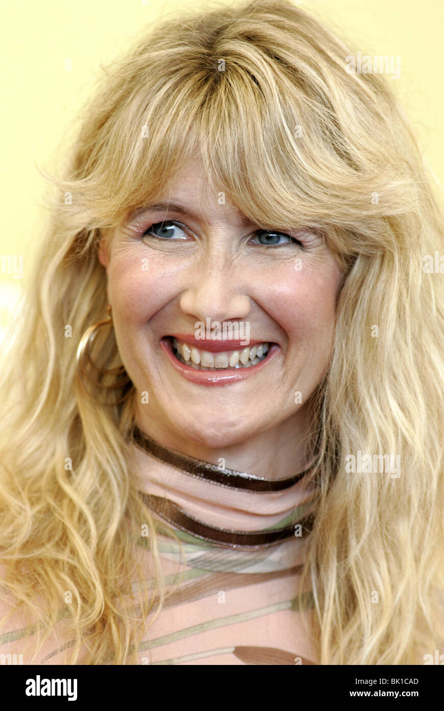 LAURA DERN INLAND EMPIRE PHOTOCALL 63RD FESTIVAL DEL CINEMA DI VENEZIA VENEZIA ITALIA 06 Settembre 2006 Foto Stock