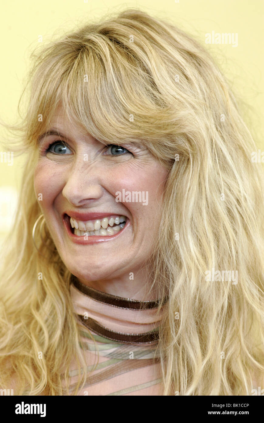 LAURA DERN INLAND EMPIRE PHOTOCALL 63RD FESTIVAL DEL CINEMA DI VENEZIA VENEZIA ITALIA 06 Settembre 2006 Foto Stock