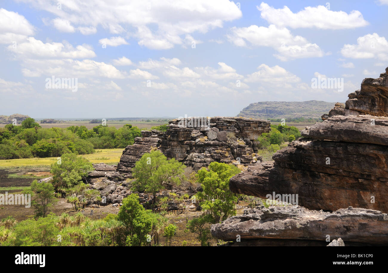 La selvaggia e remota paesaggio del Parco Nazionale di Kakadu Territorio Settentrionale o estremità superiore, Australia Foto Stock