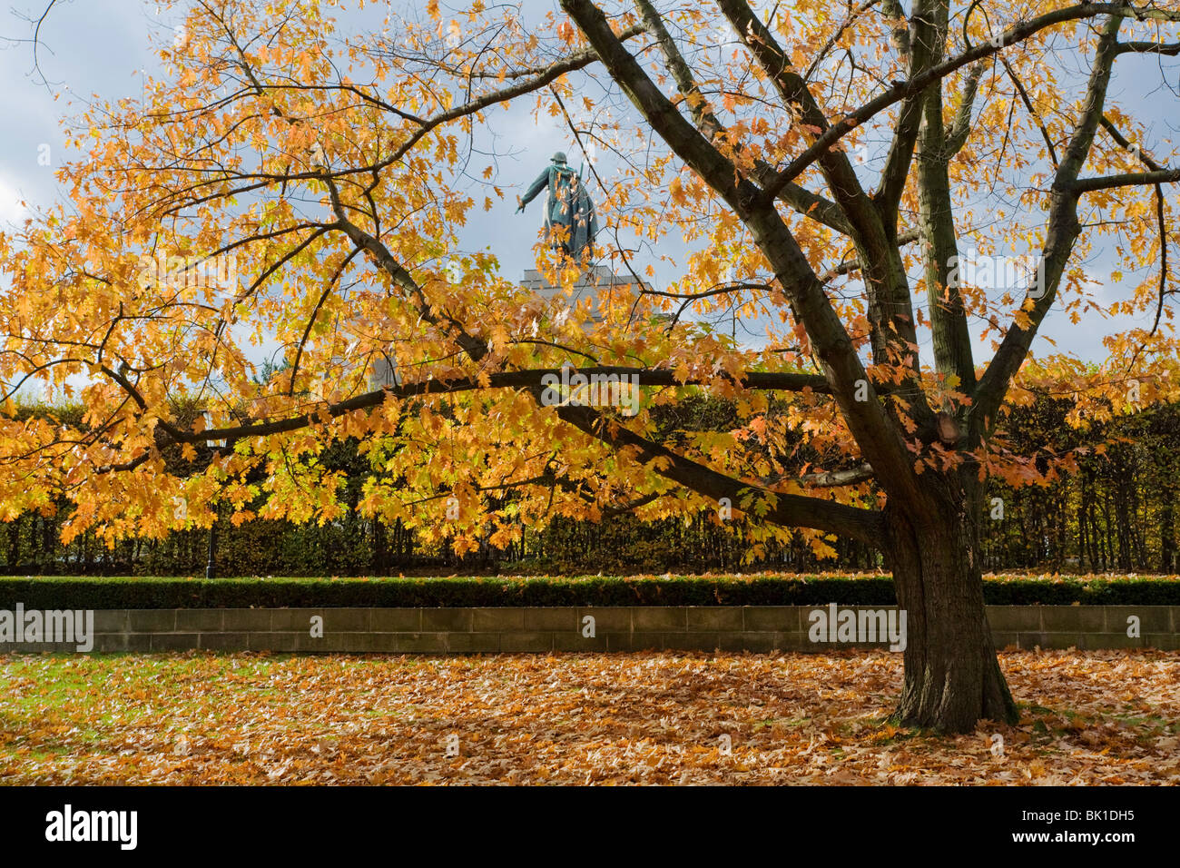 Albero autunnale, sul retro Sowjet cenotafio nel parco Tiergarten di Berlino, Germania, Europa Foto Stock