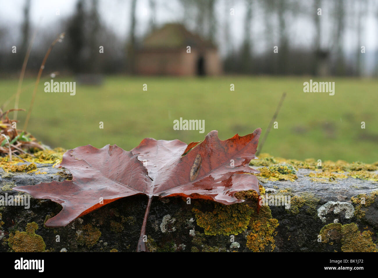 Rurale scena. Sirault, Belgio Foto Stock